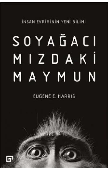 Soyağacımızdaki Maymun-İnsan Evriminin Yeni Bilimi
