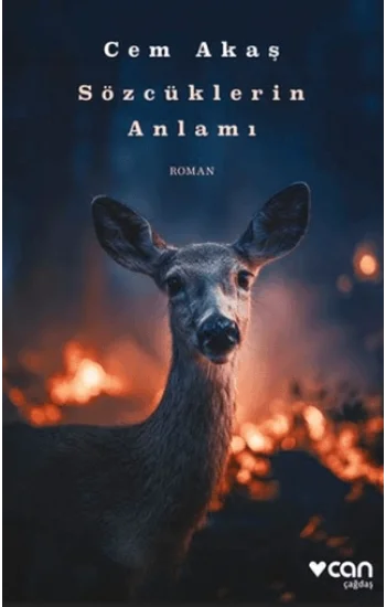 Sözcüklerin Anlamı