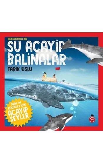 Şu Acayip Balinalar