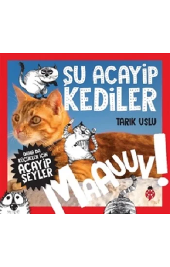 Şu Acayip Kediler - Maauuv!