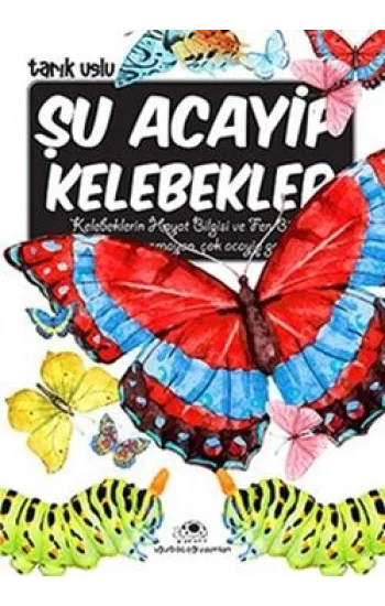 Şu Acayip Kelebekler