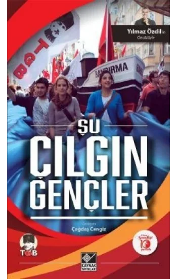 Şu Çılgın Gençler