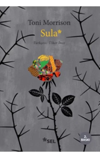 Sula