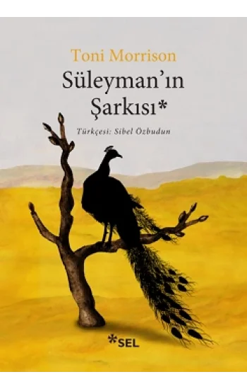 Süleymanın Şarkısı