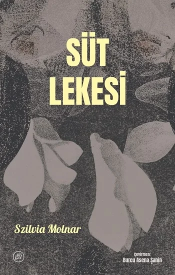 Süt Lekesi