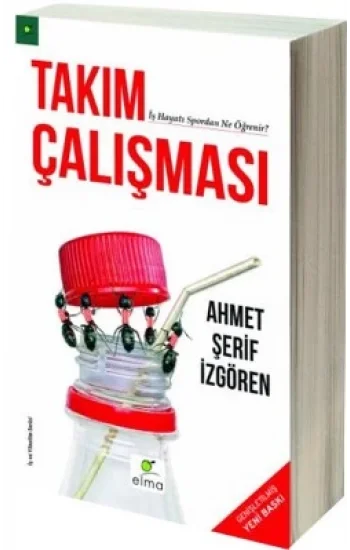 Takım Çalışması