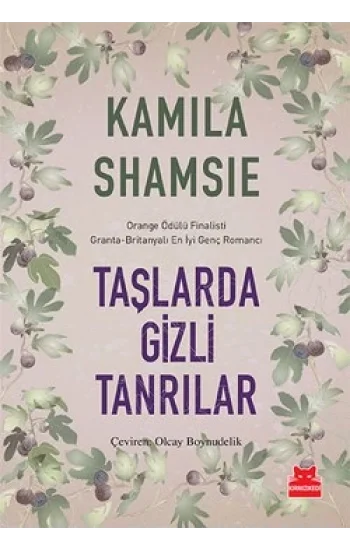 Taşlarda Gizli Tanrılar
