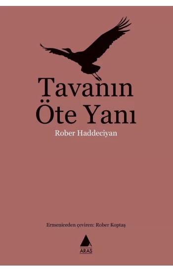 Tavanın Öte Yanı
