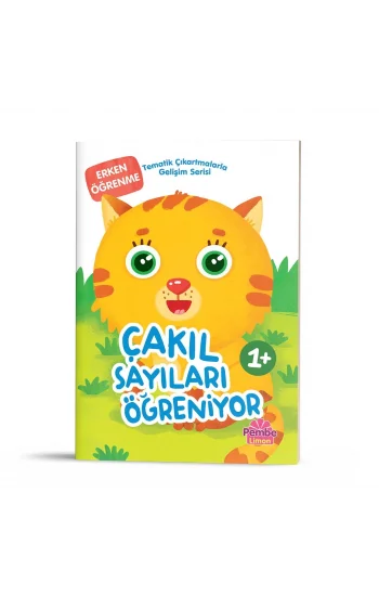 Tematik Çıkartmalarla Gelişim Serisi - Çakıl Sayıları Öğreniyor
