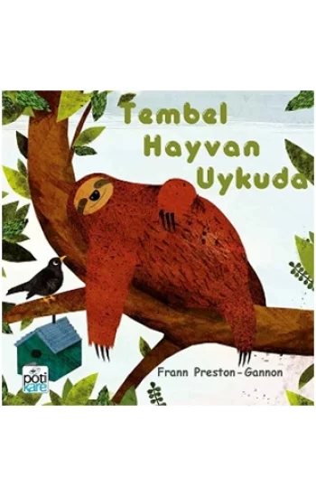 Tembel Hayvan Uykuda