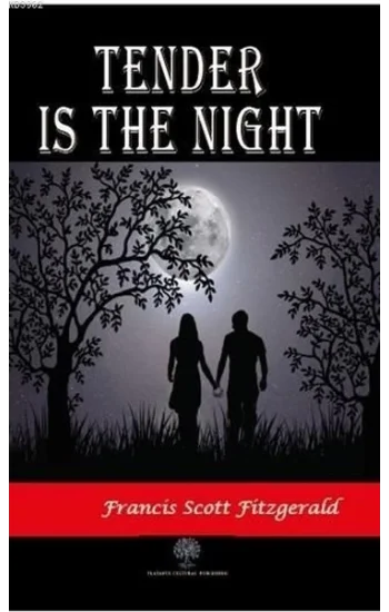 Tender is the Night