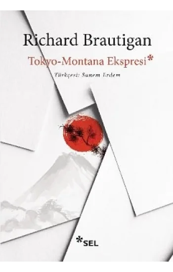Tokyo - Montana Ekspresi