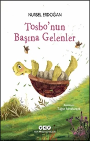 Tosbo’nun Başına Gelenler