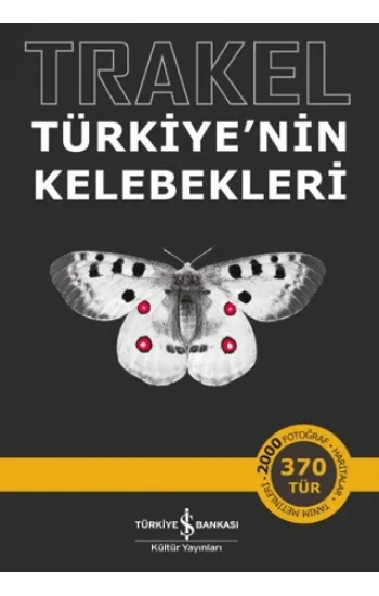 Trakel – Türkiye’nin Kelebekleri