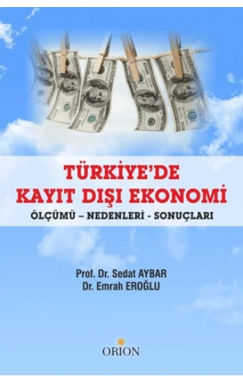 Türkiyede Kayıt Dışı Ekonomi