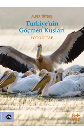 Türkiyenin Göçmen Kuşları