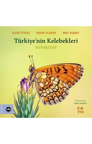 Türkiyenin Kelebekleri