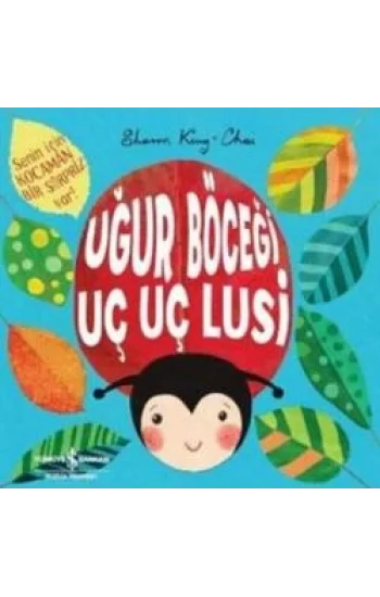 Uğur Böceği Uç Uç Lusi
