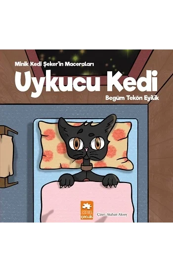 Uykucu Kedi