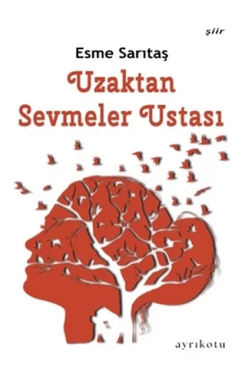 Uzaktan Sevmeler Ustası