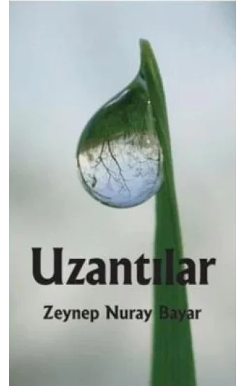 Uzantılar