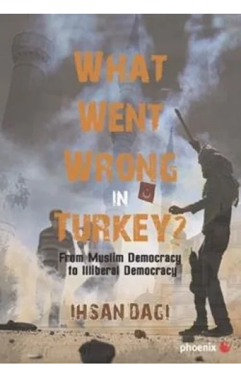 What Went Wrong in Turkey?