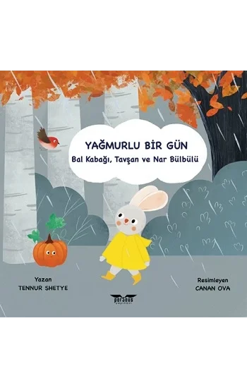 Yağmurlu Bir Gün