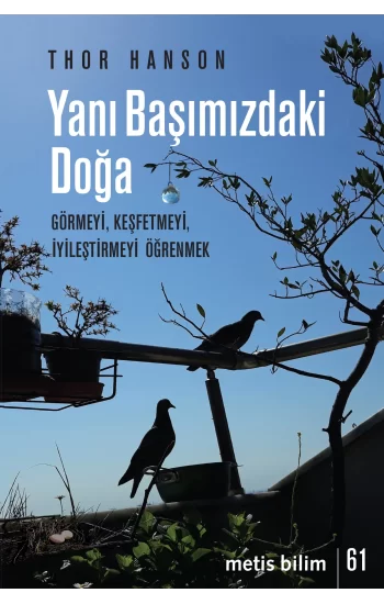 Yanı Başımızdaki Doğa