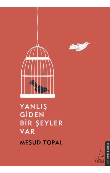 Yanlış Giden Bir Şeyler Var