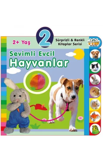 Yaş Sevimli Evcil Hayvanlar (2+Yaş)