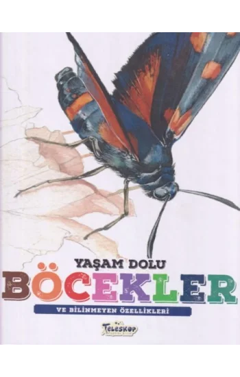 Yaşam Dolu Böcekler