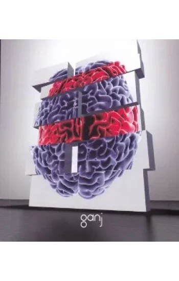 Yaşam Üzerine Yorumlamalar 2. Cilt