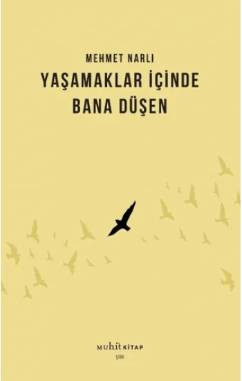 Yaşamaklar İçinde Bana Düşen