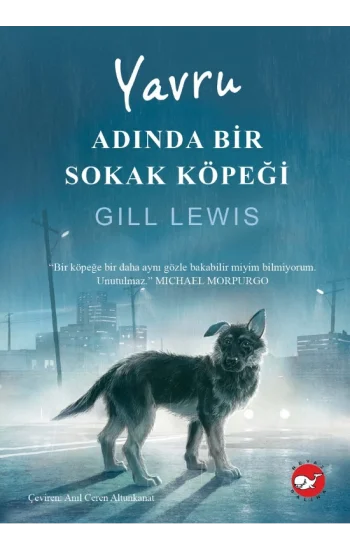 Yavru Adında Bir Sokak Köpeği