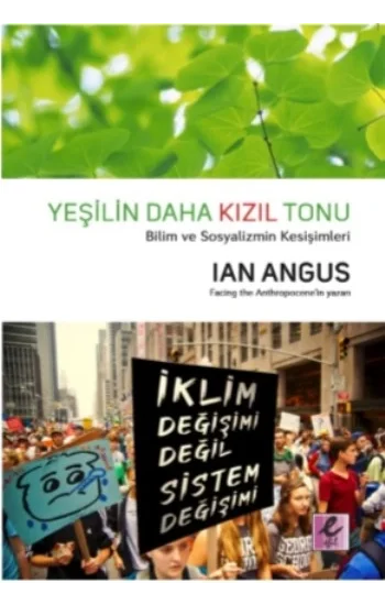 Yeşilin Daha Kızıl Tonu