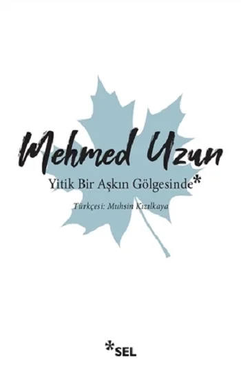 Yitik Bir Aşkın Gölgesinde