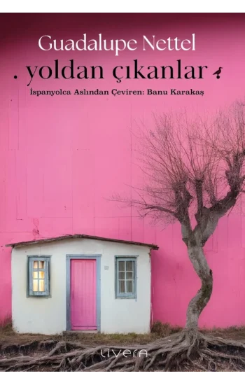 Yoldan Çıkanlar