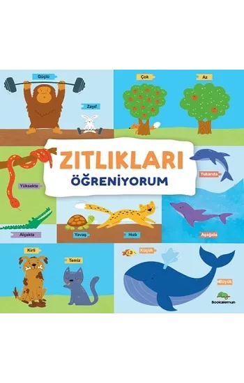 Zıtlıkları Öğreniyorum
