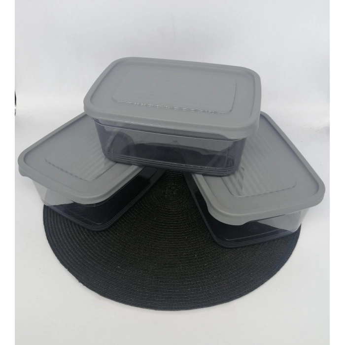 DEMET PLASTİK SAKLAMA KABI FESTİVA 3X1600 ML 1X12