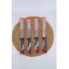 SÜRBİSA BIÇAK SÜRMENE 1X12