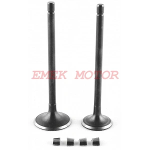 Cg 250 Sübap Takımı DQ