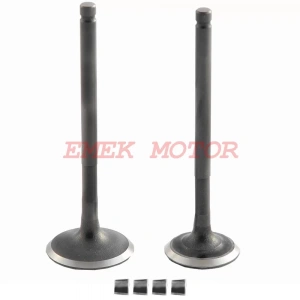 Spacy - Alpha - Sipontini Sübap DQ