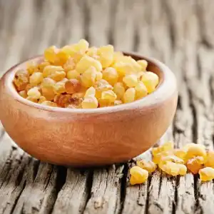 Günlük Sakızı 100Gr