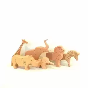 Safari Seti