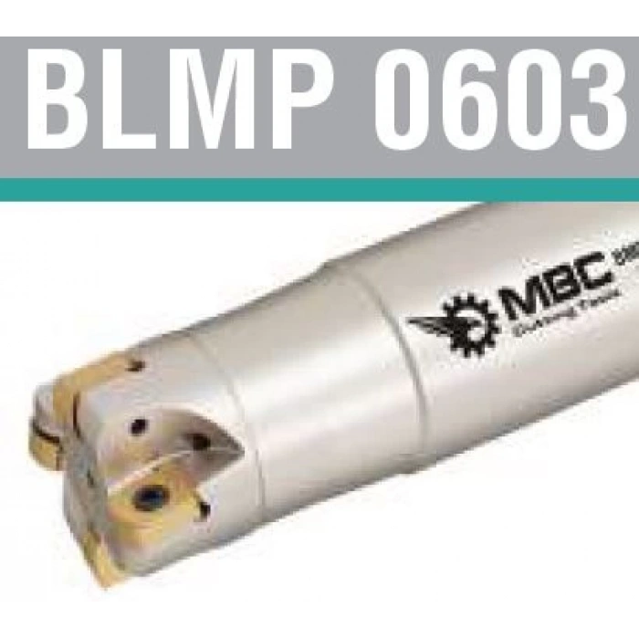 BLMP 0603 Saplı Tarama Kafası