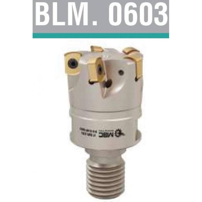 BLMP 0603 Vidalı Tarama Kafası