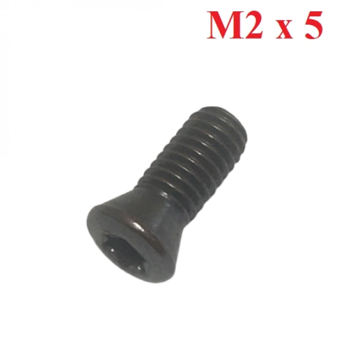 M2 x 5 KATER CİVATASI TORX UÇLU