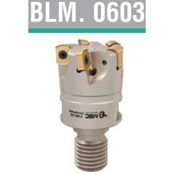 BLMP 0603 Vidalı Tarama Kafası