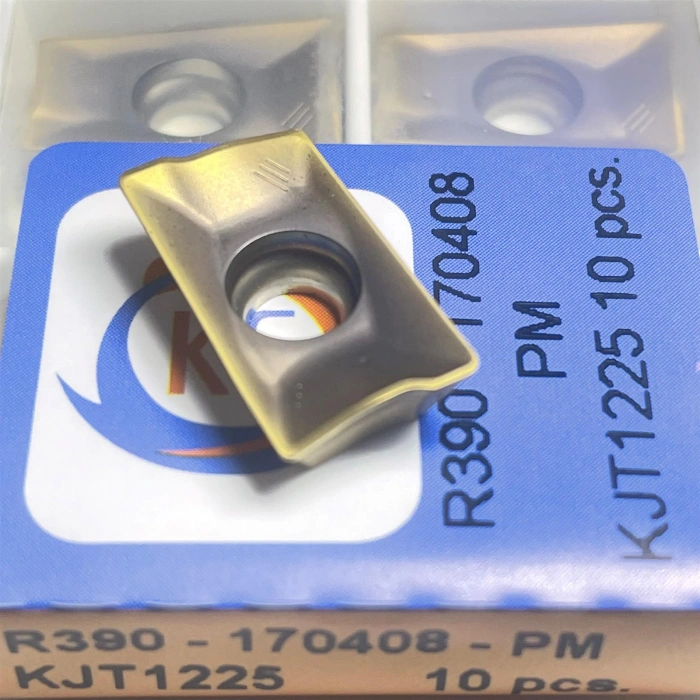 R390 170408 PM KJT1225