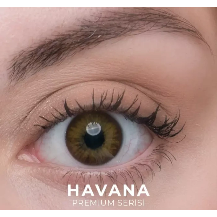 Labella Premium 3 Aylık